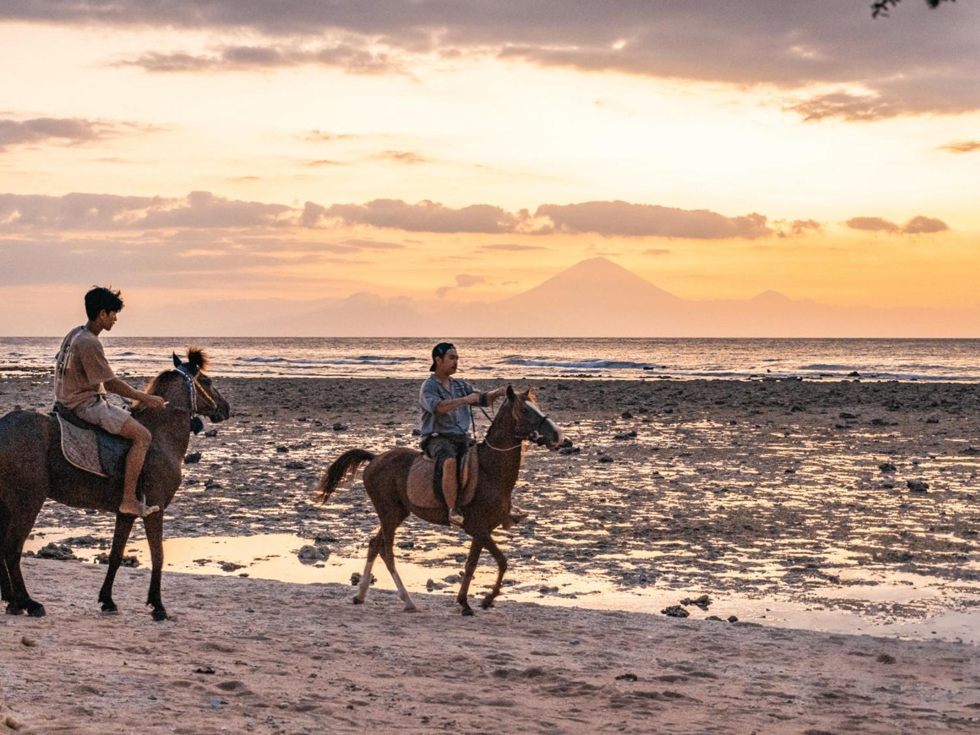 Mad Monkey Gili Trawangan Hostel Luaran gambar Horse riding at the beach